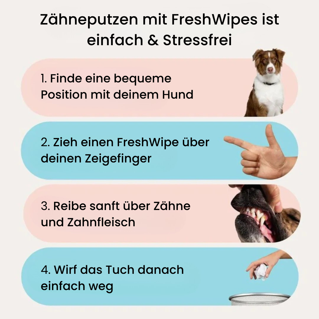 FreshWipes